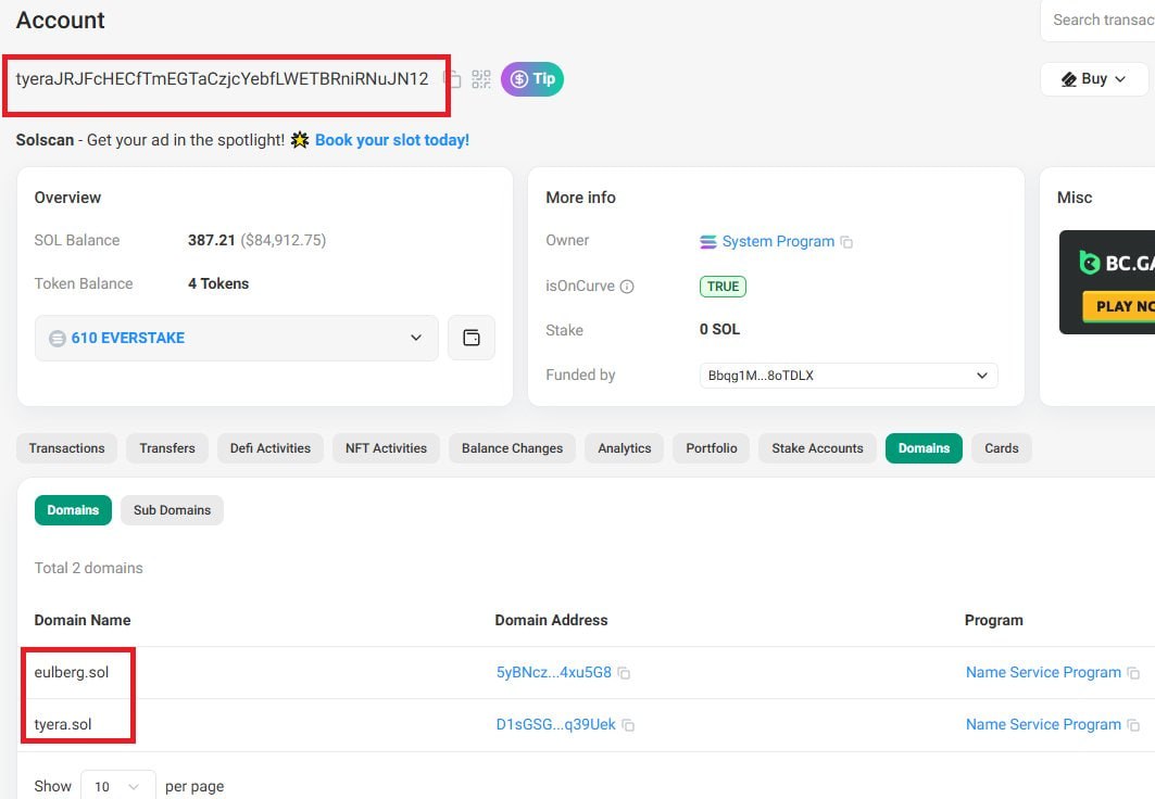 Solscan account showing tyera.sol and eulberg.sol domains